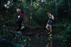 BIB: 
                            <button type="button" onclick="openModal(22457512)" class="btn btn-primary btn-sm float-right btn-popup" data-toggle="modal" data-target=".modal-high-quality">
                        <i class="fas fa-shopping-cart"></i> Add to Cart
                    </button>
                                            <button type="button" onclick="isThisMe(22457512, true)" class="btn btn-success btn-sm float-right btn-popup btn-isme hidden" data-toggle="tooltip" data-placement="bottom" title="นี่คือรูปของคุณใช่ไหม คลิกที่นี่เพื่อเอาเข้าอัลบั้ม">
                        <i class="fas fa-plus"></i> Add to album
                    </button>
                    <button type="button" onclick="isThisMe(22457512, false)" class="btn btn-warning btn-sm float-right btn-popup btn-isnotme hidden">
                        <i class="fas fa-ban"></i> Remove from album
                    </button>